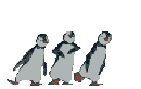pingouins-